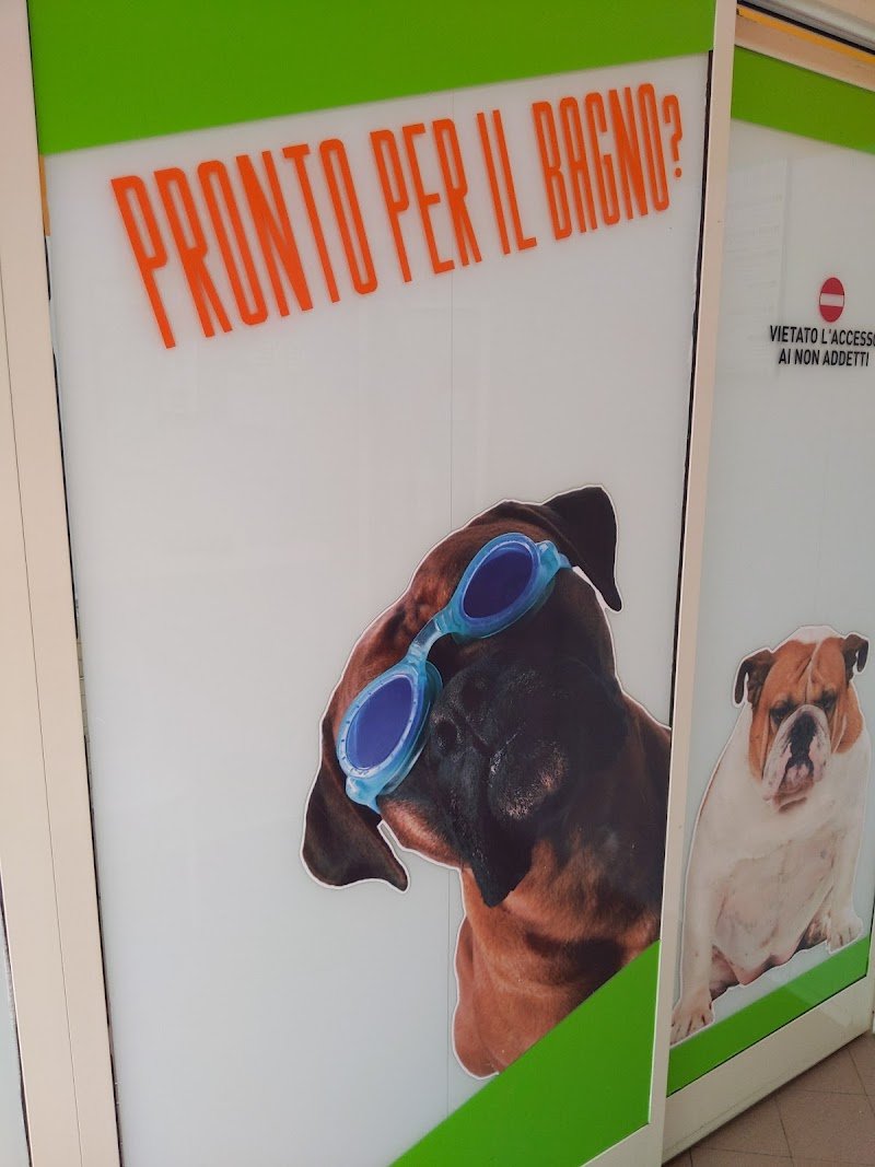 Toeletta Jolie - Foto 2