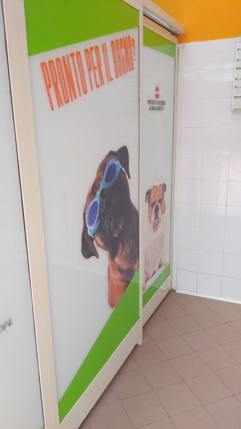 Toeletta Jolie - Foto 6