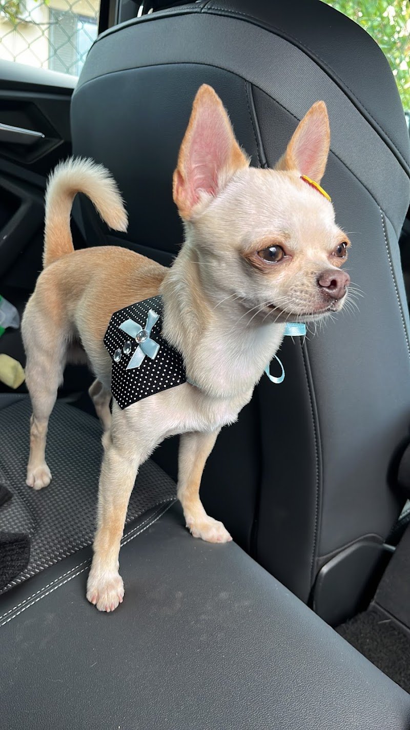 Toeletta Mille Bolle BAU Beauty e SPA - Foto 1