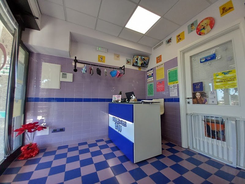 Toeletta Mille Bolle BAU Beauty e SPA - Foto 3