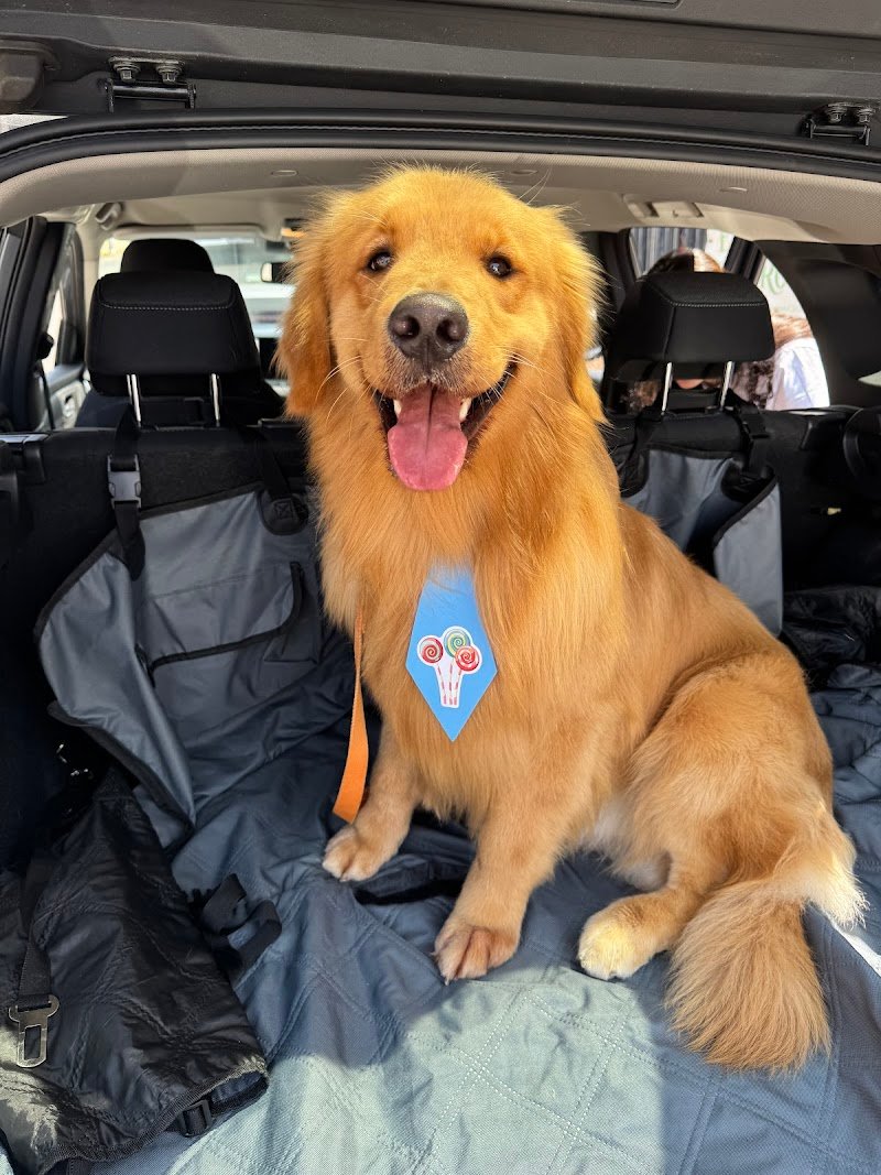 Toeletta Mille Bolle BAU Beauty e SPA - Foto 5