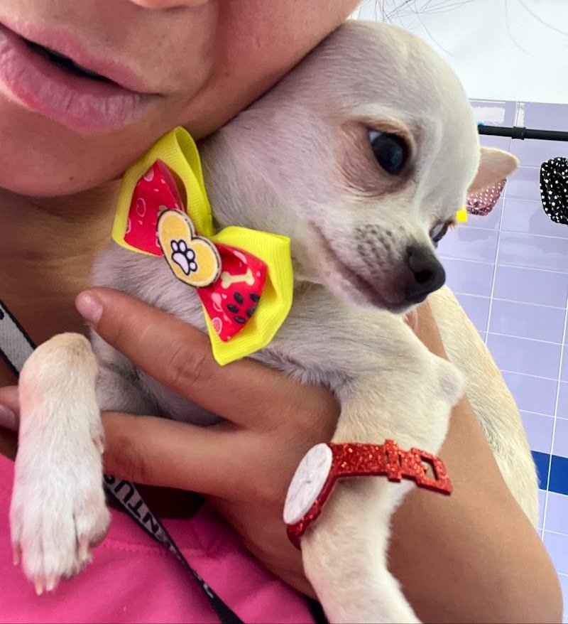 Toeletta Mille Bolle BAU Beauty e SPA - Foto 6