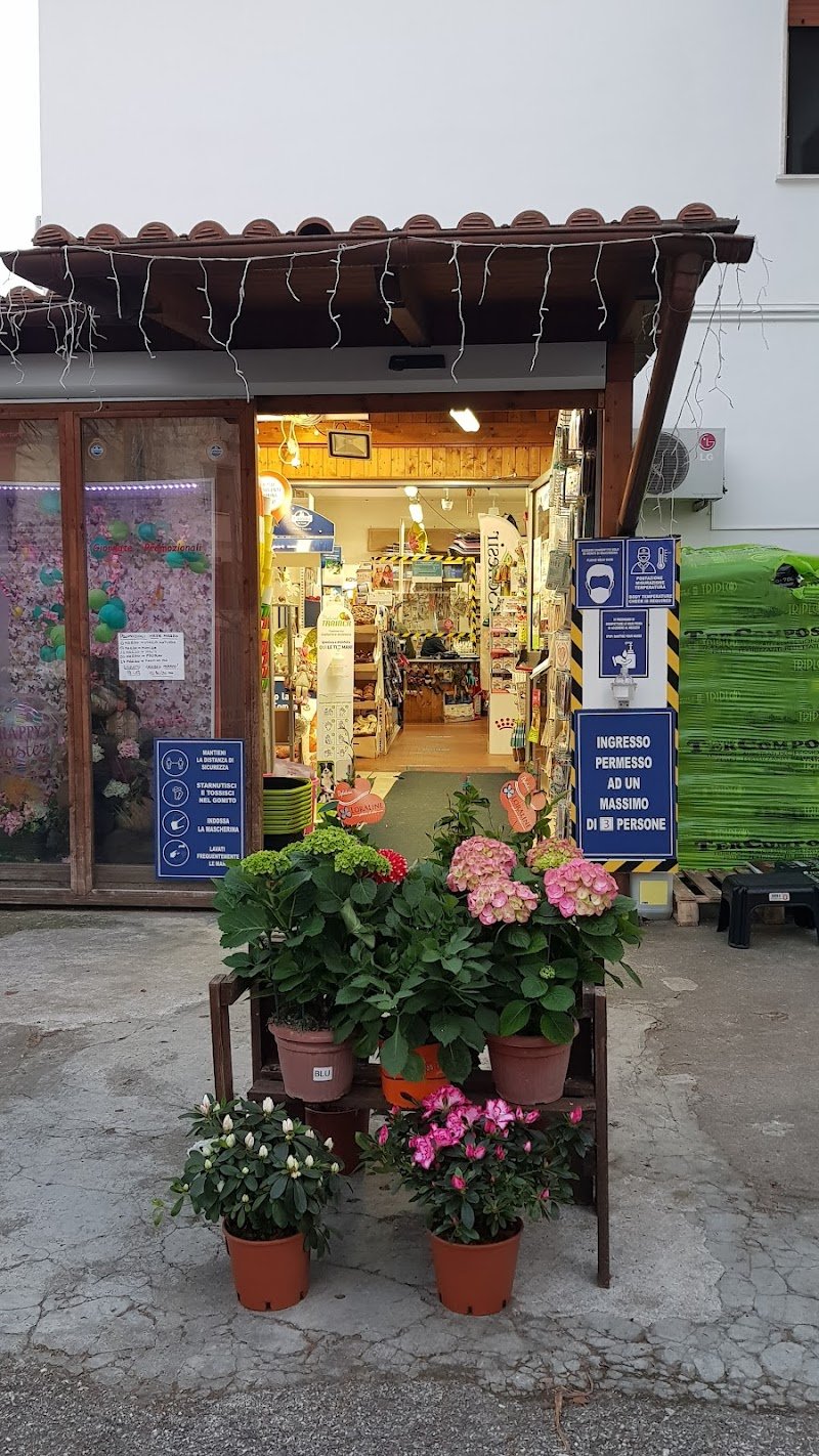 Toeletta Mr Grooming & Beauty Center - Foto 1