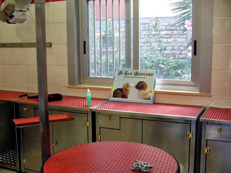 Toeletta Mr Grooming & Beauty Center - Foto 3