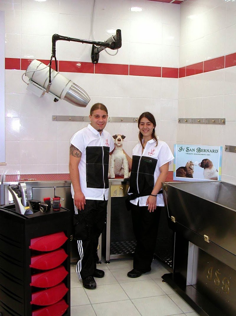 Toeletta Mr Grooming & Beauty Center - Foto 4