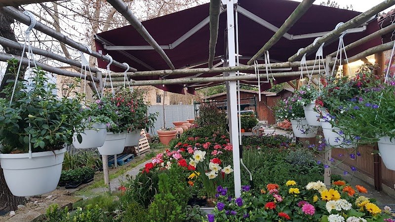 Toeletta Mr Grooming & Beauty Center - Foto 6