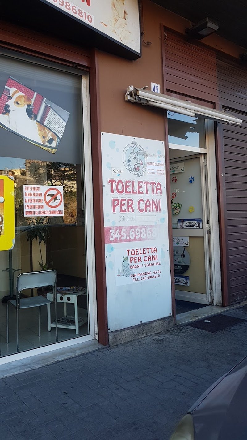 Toeletta Per Cani - Foto 1