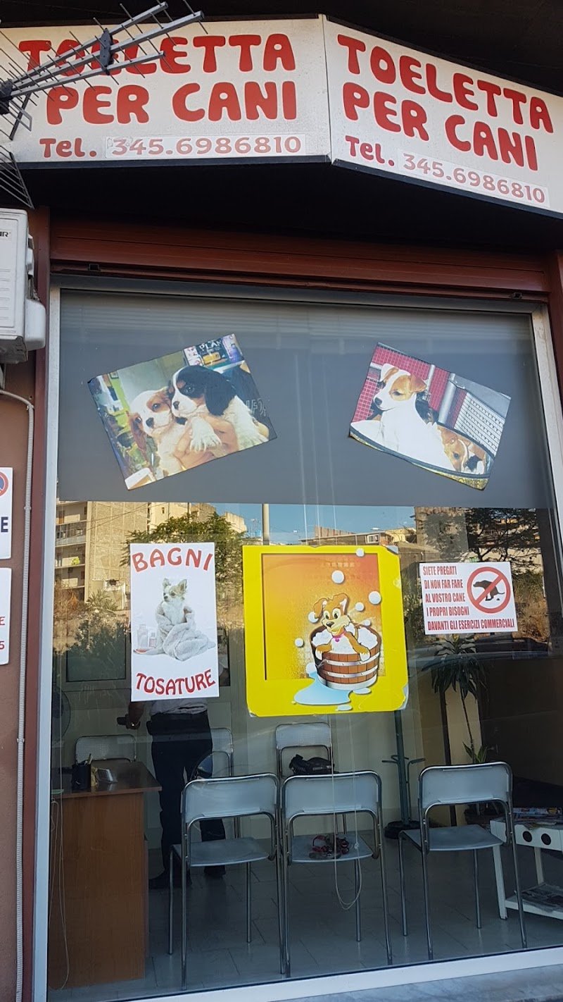 Toeletta Per Cani - Foto 4