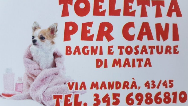 Toeletta Per Cani - Foto 5