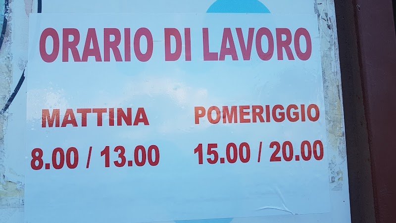 Toeletta Per Cani - Foto 6