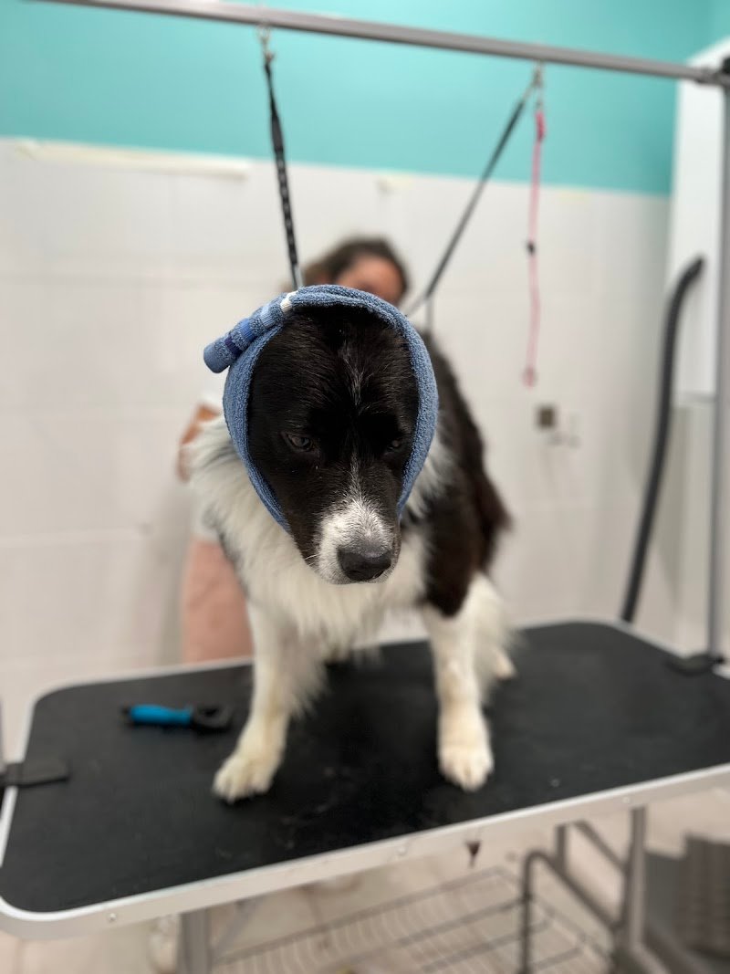 Toeletta self-service Toscani - Foto 2