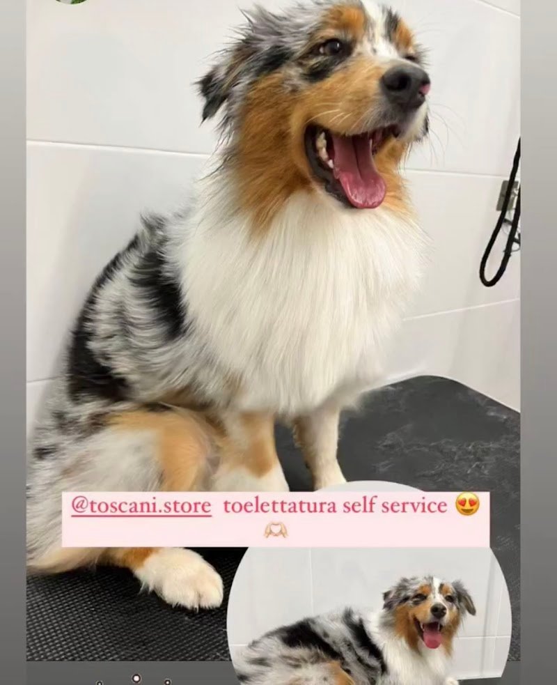 Toeletta self-service Toscani - Foto 3