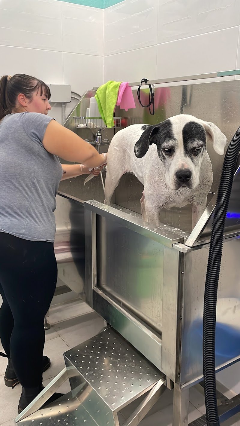 Toeletta self-service Toscani - Foto 4