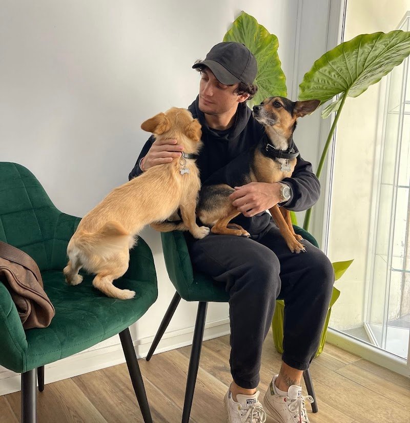 Toeletta & SPA - Dog Walker Club - Foto 6