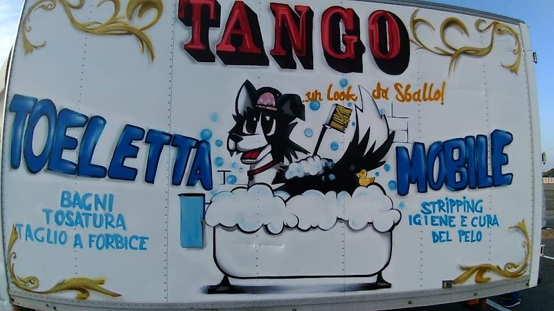 Toeletta Tango look da sballo - Foto 1