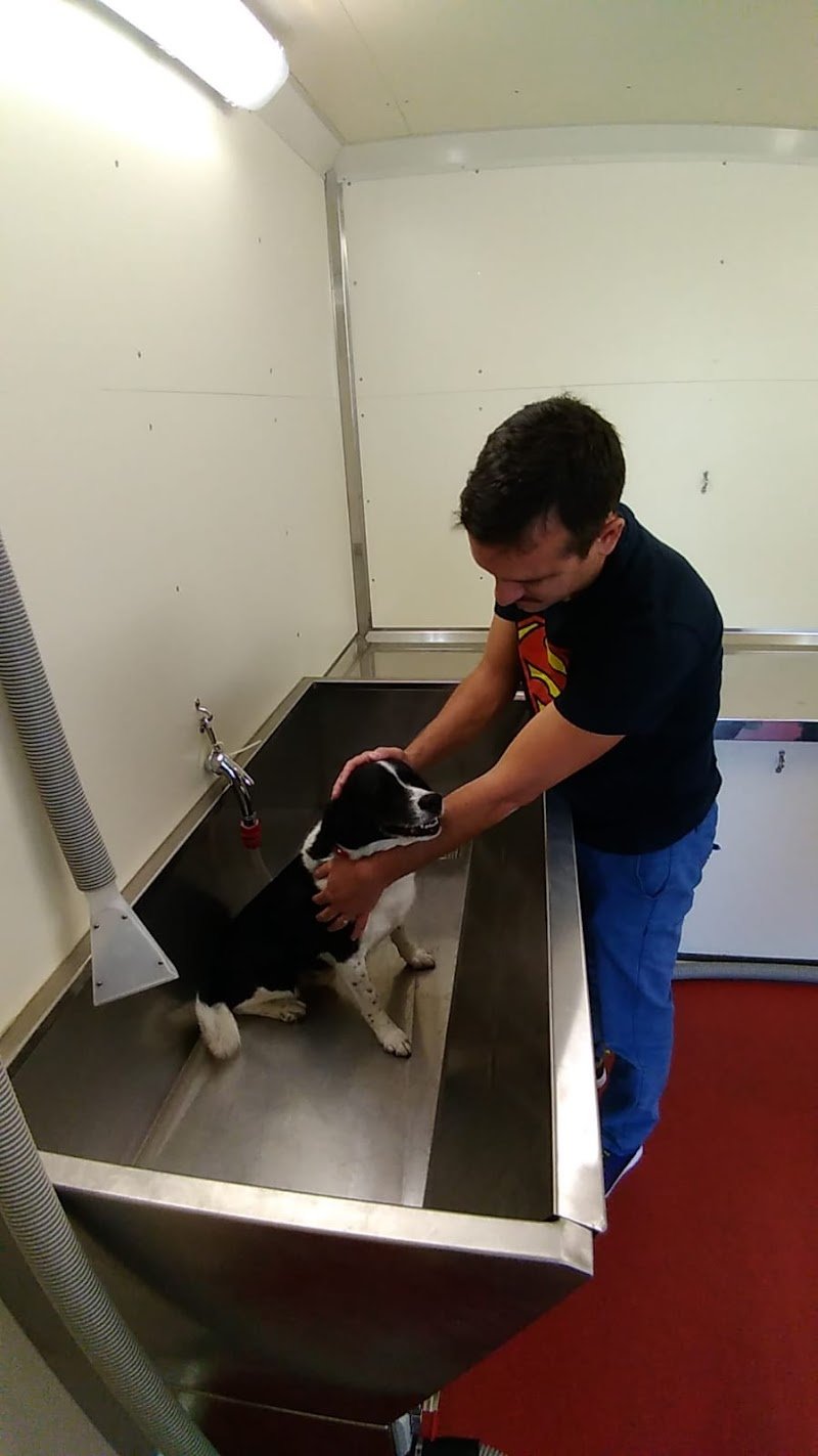 Toeletta Tango look da sballo - Foto 3