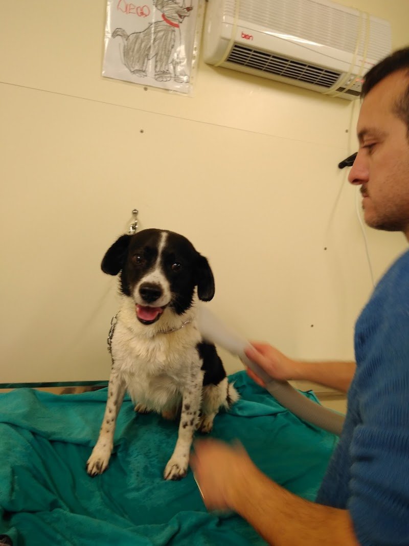 Toeletta Tango look da sballo - Foto 6