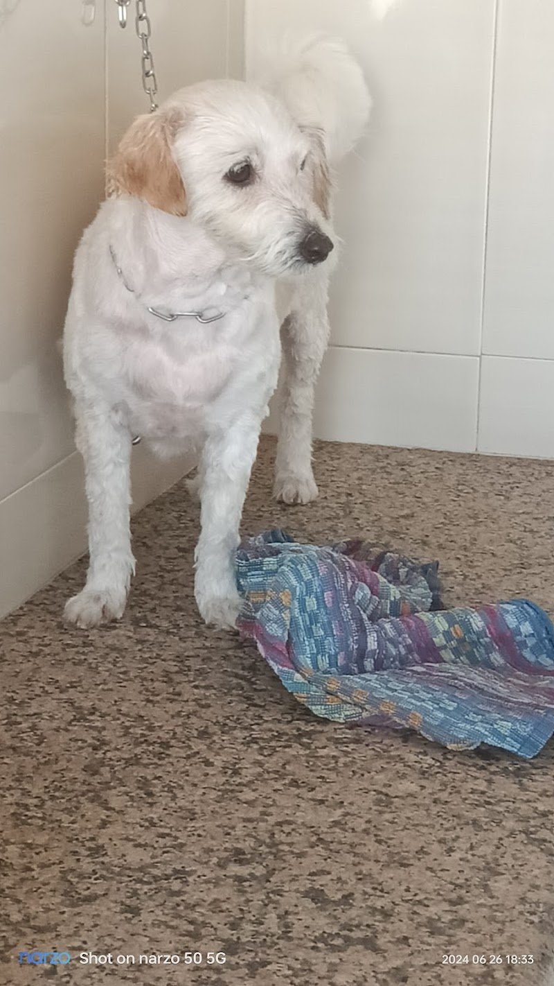 Toeletta Wendy & Pancio - Foto 2