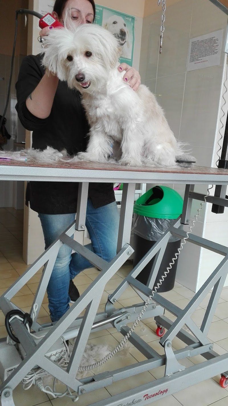 Toeletta Wendy & Pancio - Foto 5