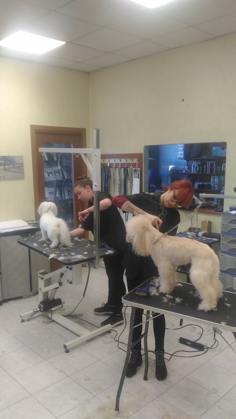 ToelettArt Snc - Foto 4