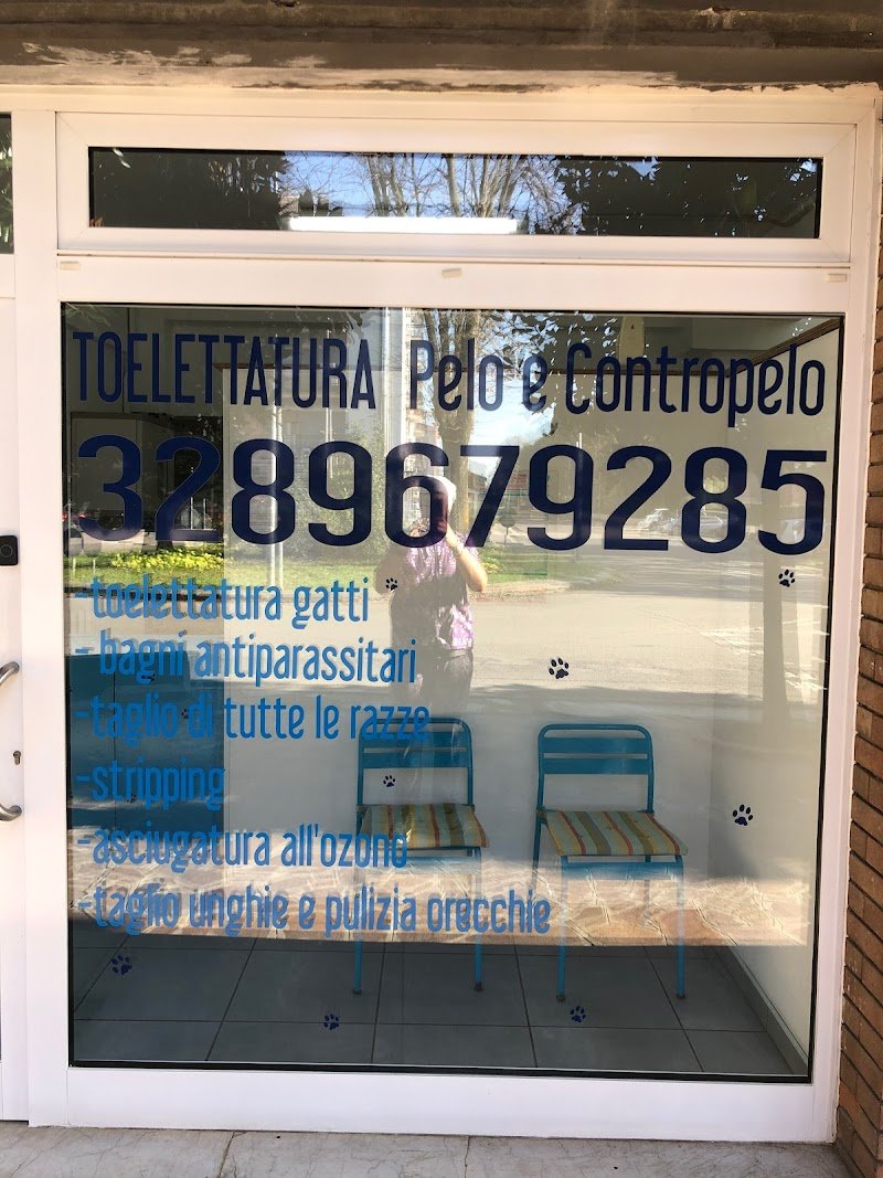 Toelettatatura Pelo E Contropelo - Foto 1