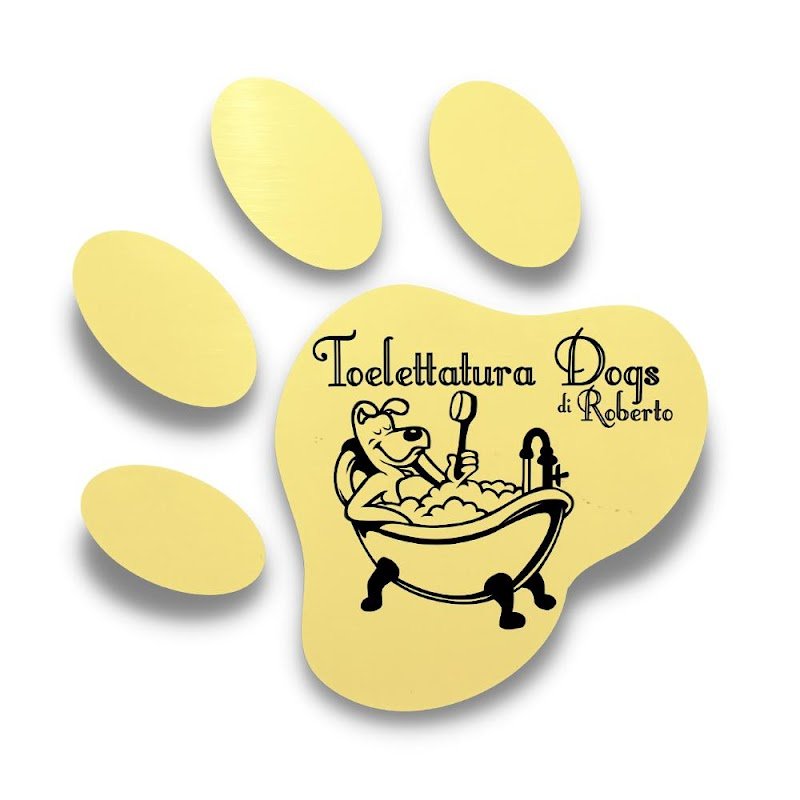 Toelettatore a Domicilio Terni - Foto 6