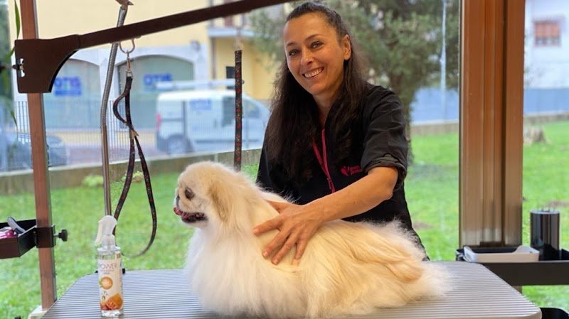 Toelettatura a Silea di Treviso "Il Giardino di Laura" - Foto 1