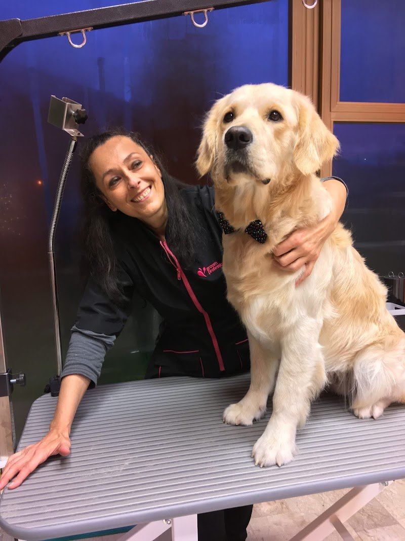 Toelettatura a Silea di Treviso "Il Giardino di Laura" - Foto 3