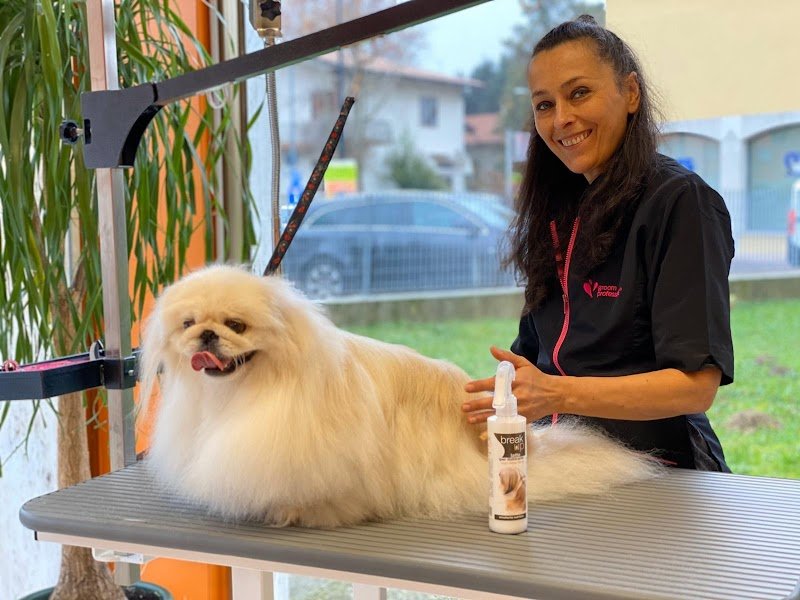 Toelettatura a Silea di Treviso "Il Giardino di Laura" - Foto 4