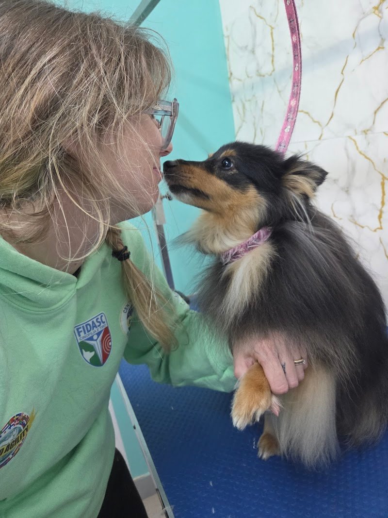 Toelettatura AcquAzzurra - Foto 5