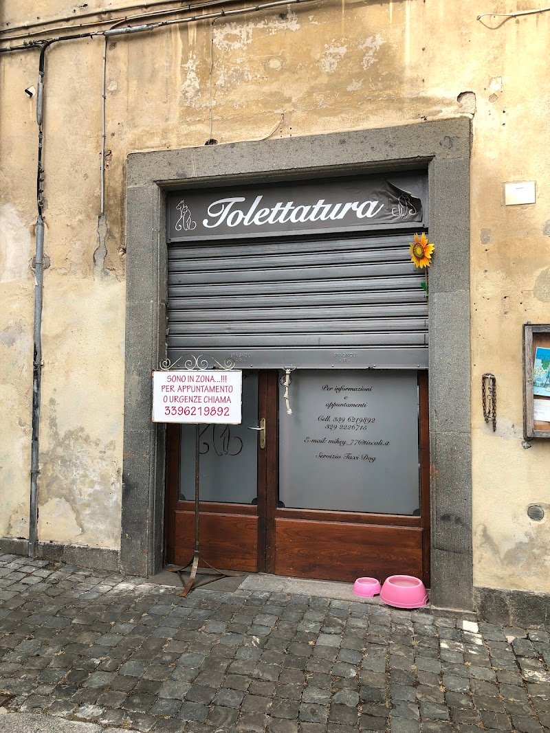 Toelettatura "Al Cornelio" di Mikele Nencini - Foto 1