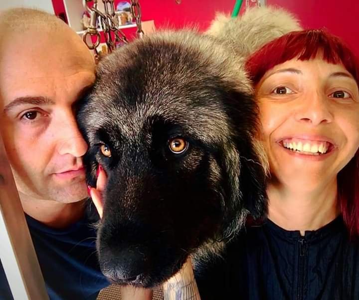 Toelettatura "Al Cornelio" di Mikele Nencini - Foto 3