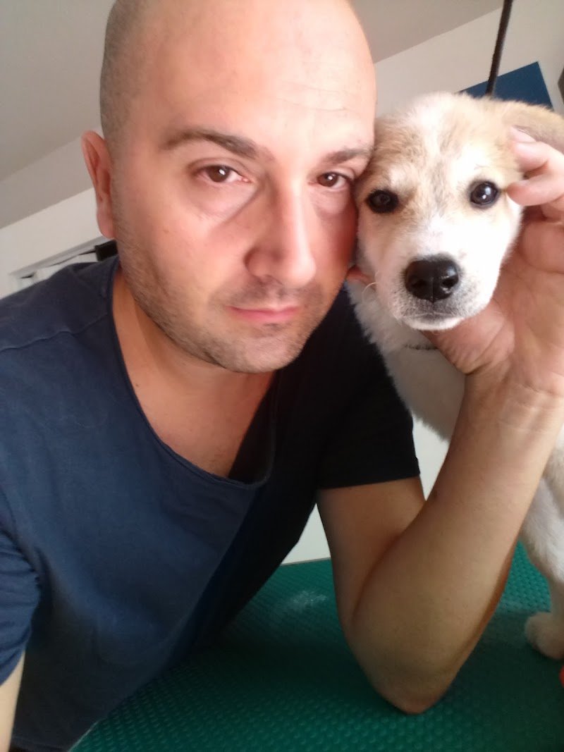 Toelettatura "Al Cornelio" di Mikele Nencini - Foto 5