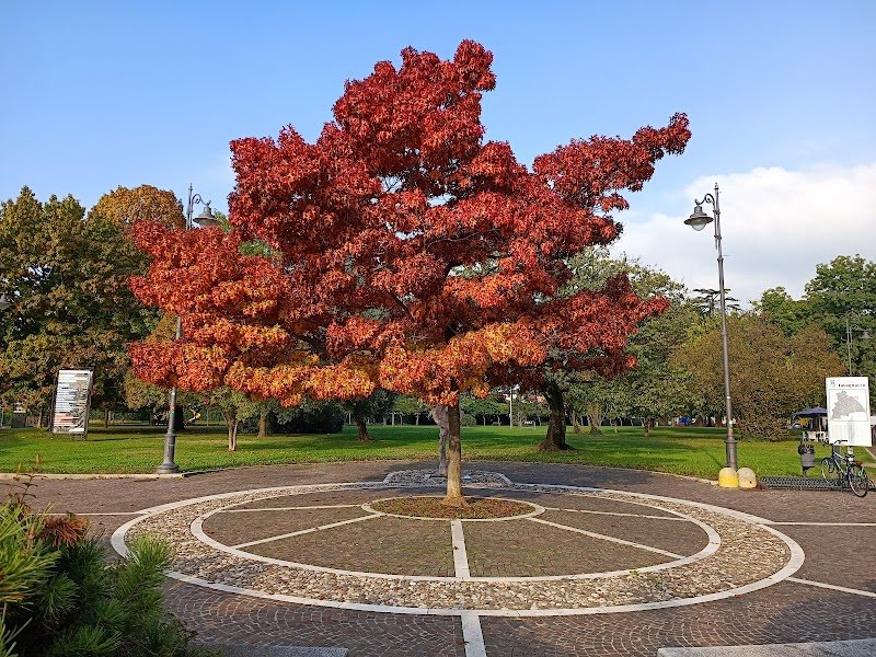 Toelettatura Al Parco - Foto 3