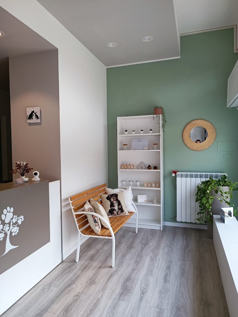 Toelettatura Al Parco - Foto 5