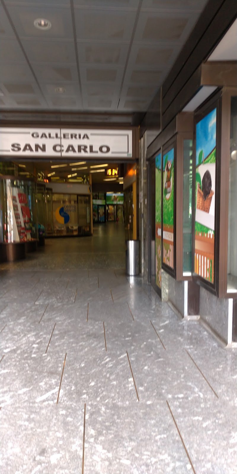 Toelettatura Alimenti e Prodotti per Animali Dog Service - Foto 1