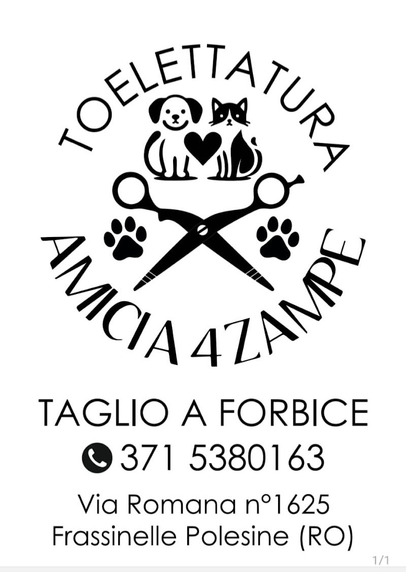Toelettatura amici a 4 zampe di Corso Fabiola - Foto 3