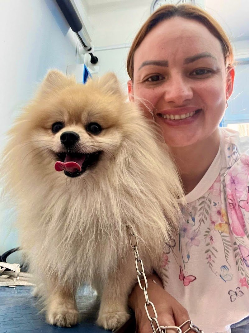 Toelettatura Amici di Tiziana - Foto 4