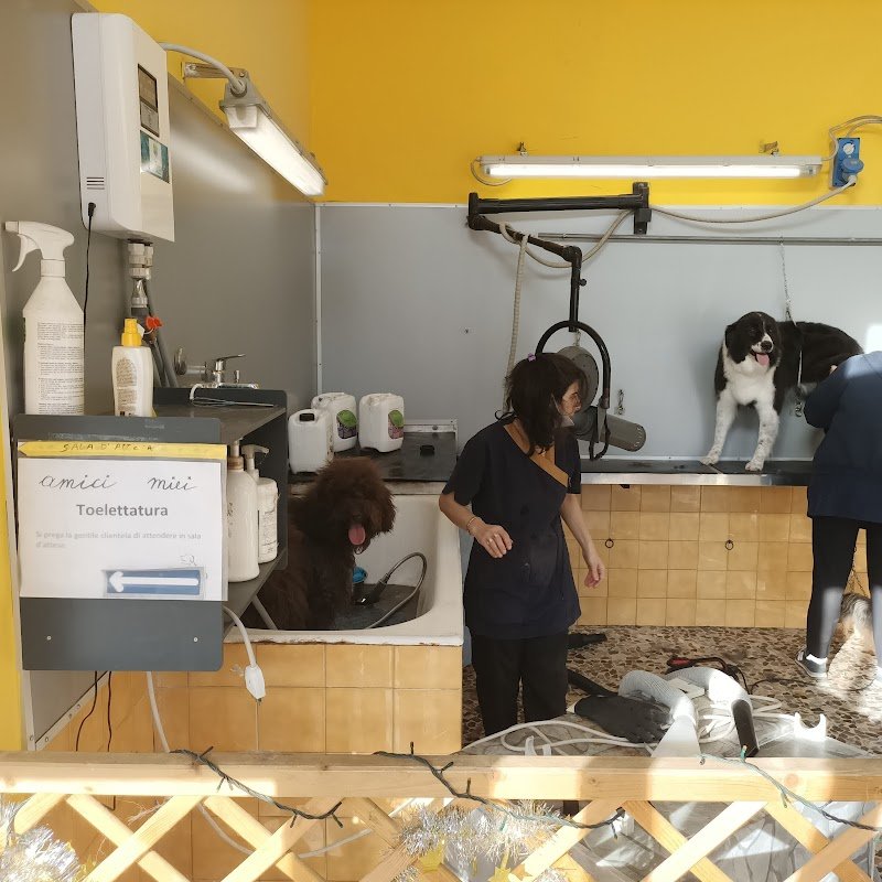 Toelettatura amici miei - Foto 6