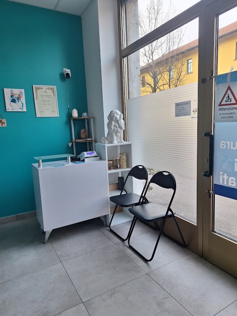 Toelettatura Amici spettinati - Foto 5