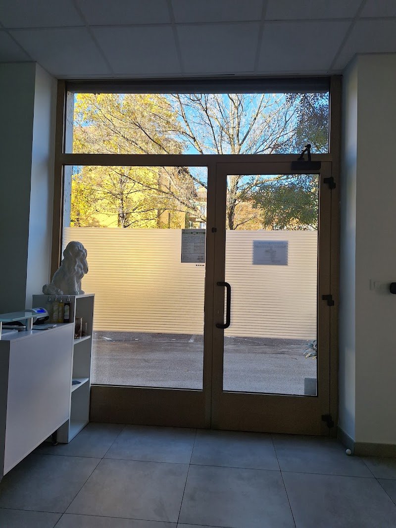 Toelettatura Amici spettinati - Foto 6