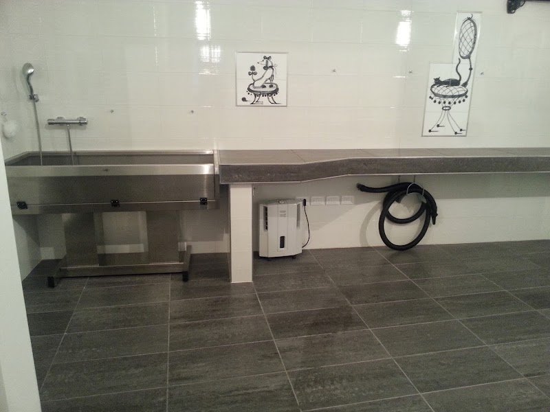 Toelettatura Amico Cane - Foto 1