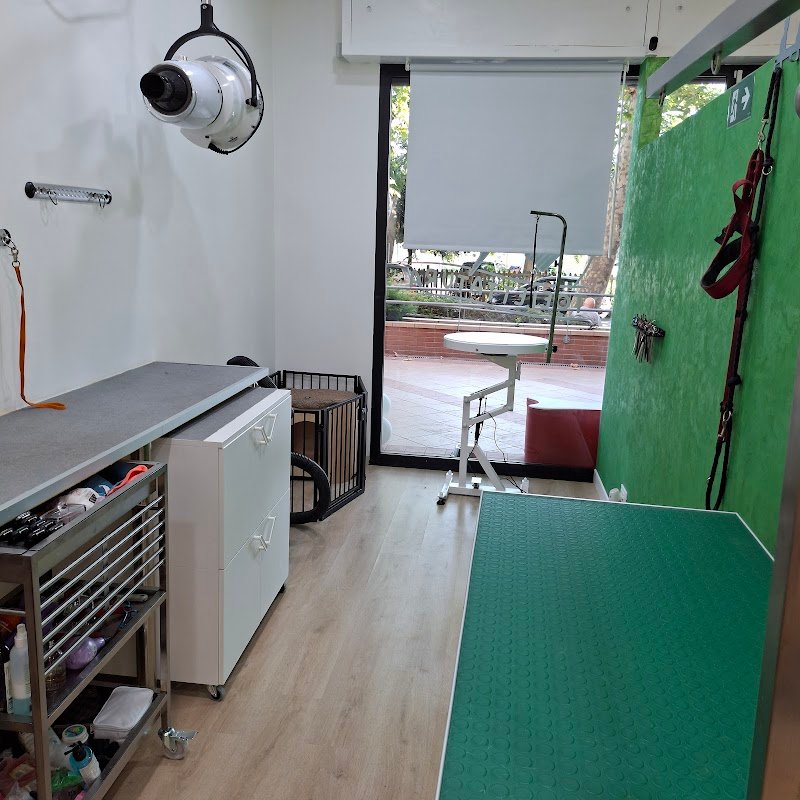 Toelettatura Ammi.pet - Foto 1