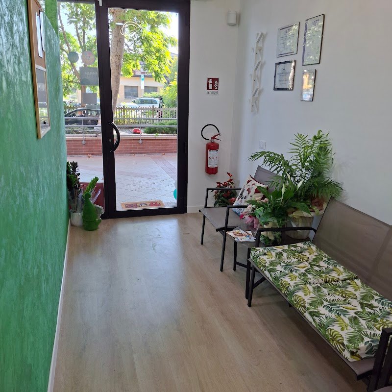 Toelettatura Ammi.pet - Foto 2