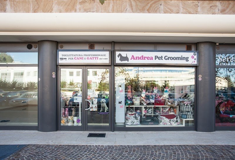 Toelettatura Andrea Pet Grooming - Foto 2