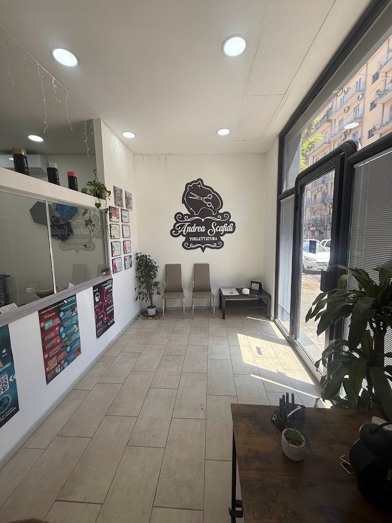 Toelettatura Andrea Scafidi - Foto 4