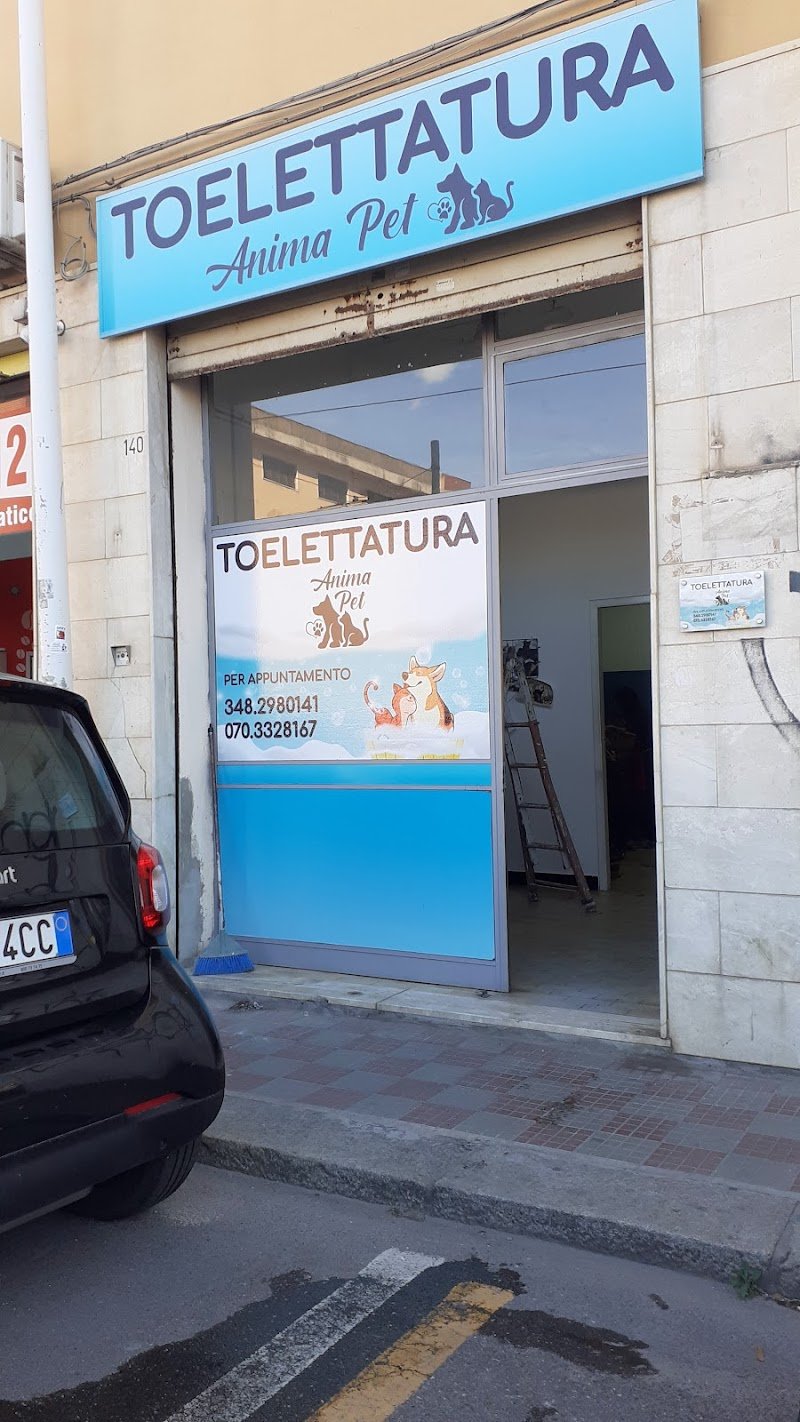 Toelettatura Anima Pet - Foto 6