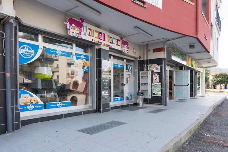 Toelettatura Animal House Rossano - Foto 1