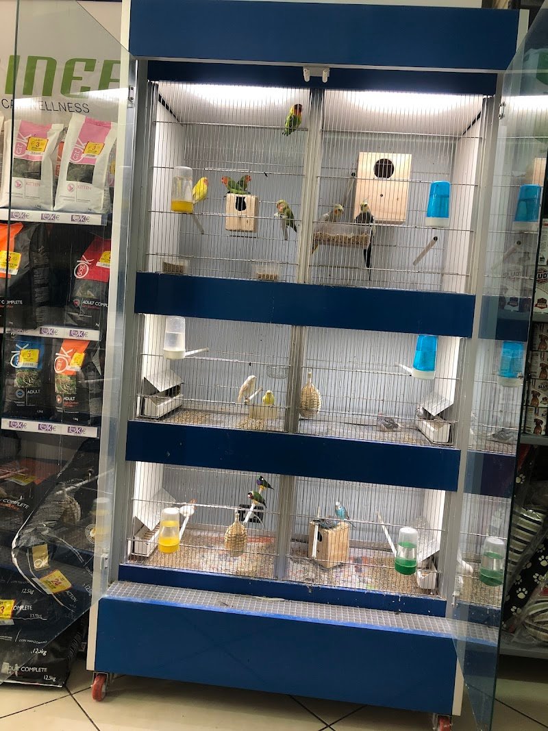 Toelettatura Animal House Rossano - Foto 3