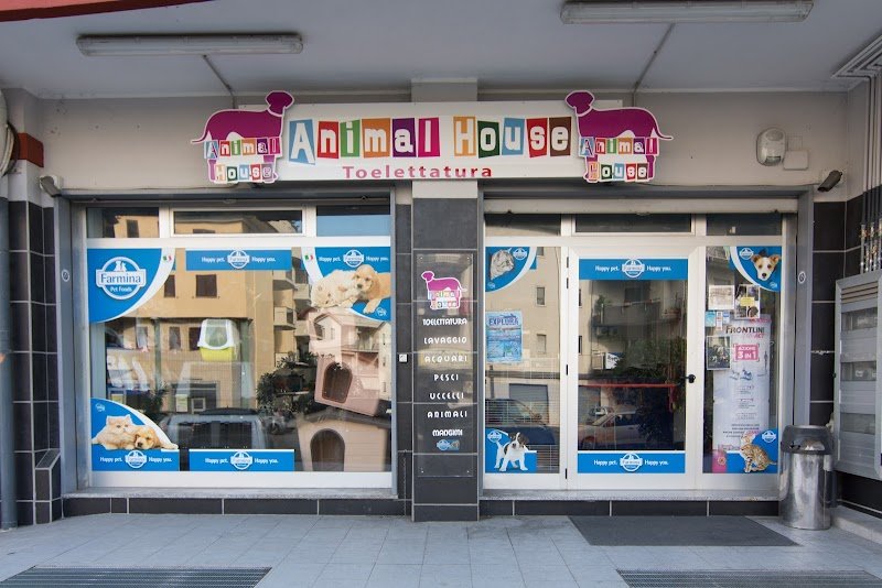 Toelettatura Animal House Rossano - Foto 4